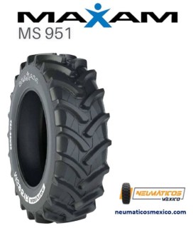 MAXAM MS95199